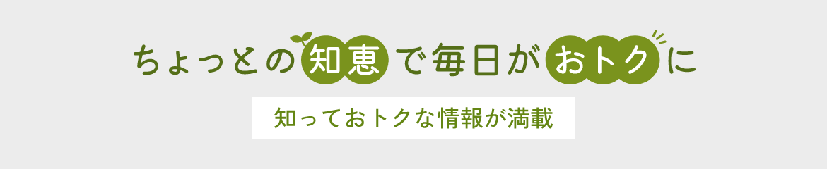 ちょっとの知恵で毎日がおトクに～趣味で人生変わるかも～