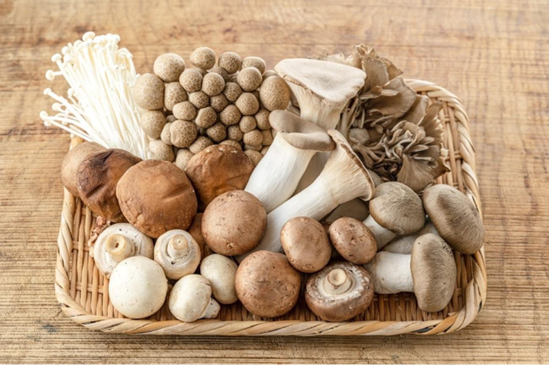 腸内環境と食べ物の効果