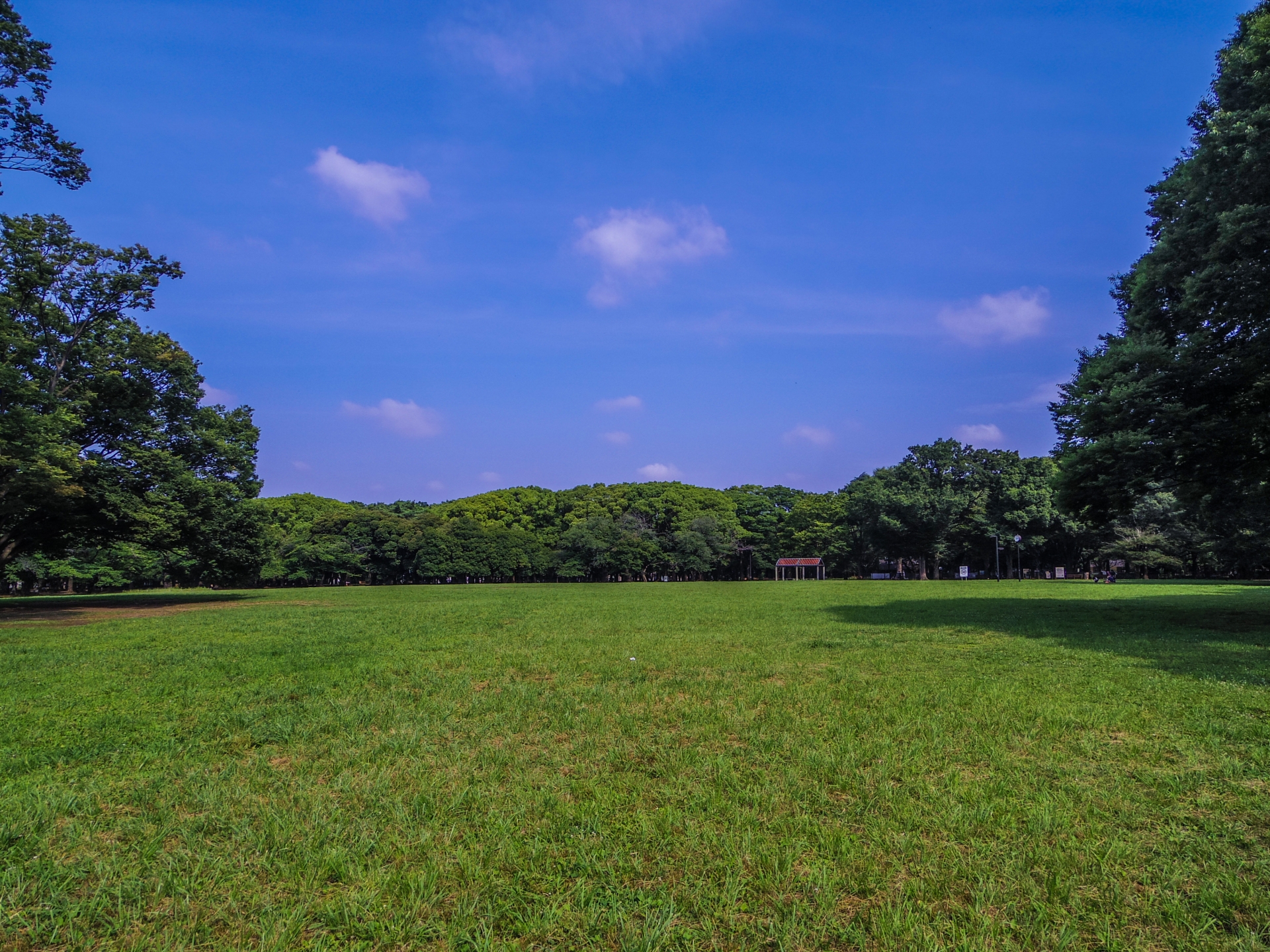 東京の早朝と時間つぶしとスポット