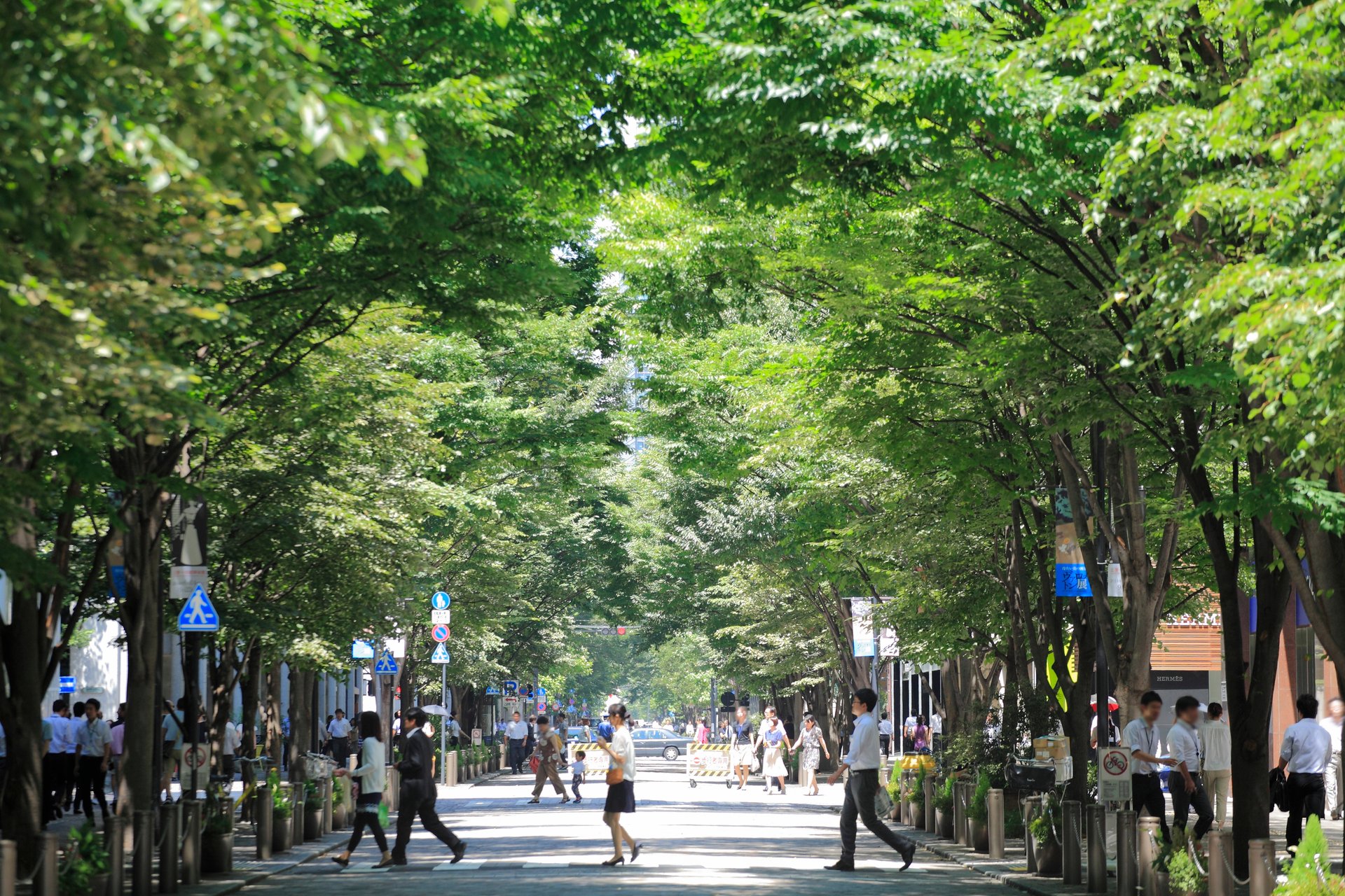 東京散歩の穴場｜人混みを避けてのんびり歩ける時間帯＆エリアガイド
