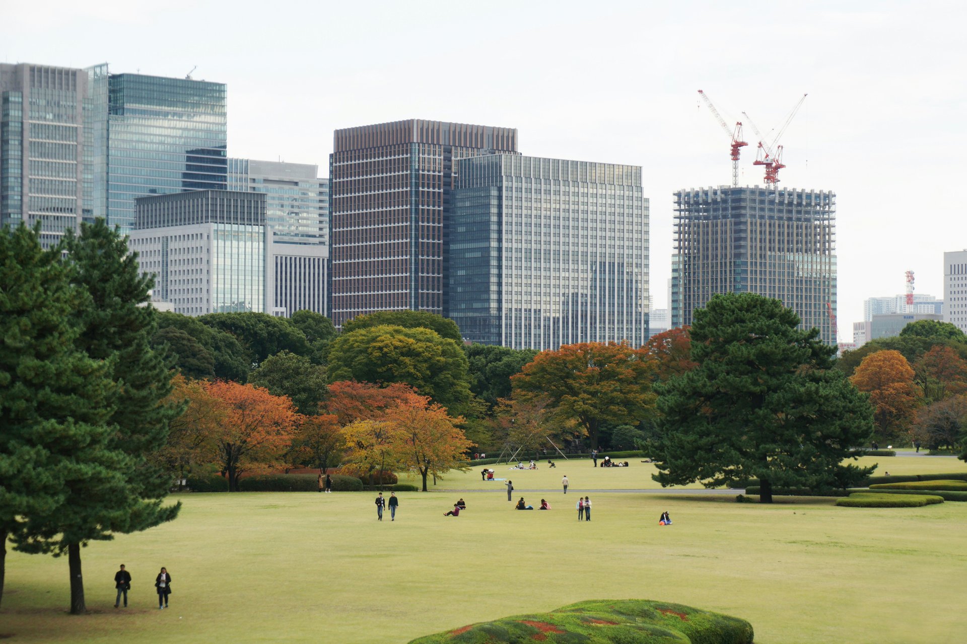 皇居東御苑｜東京ドーム4.5個分、入園無料の都心の森へ