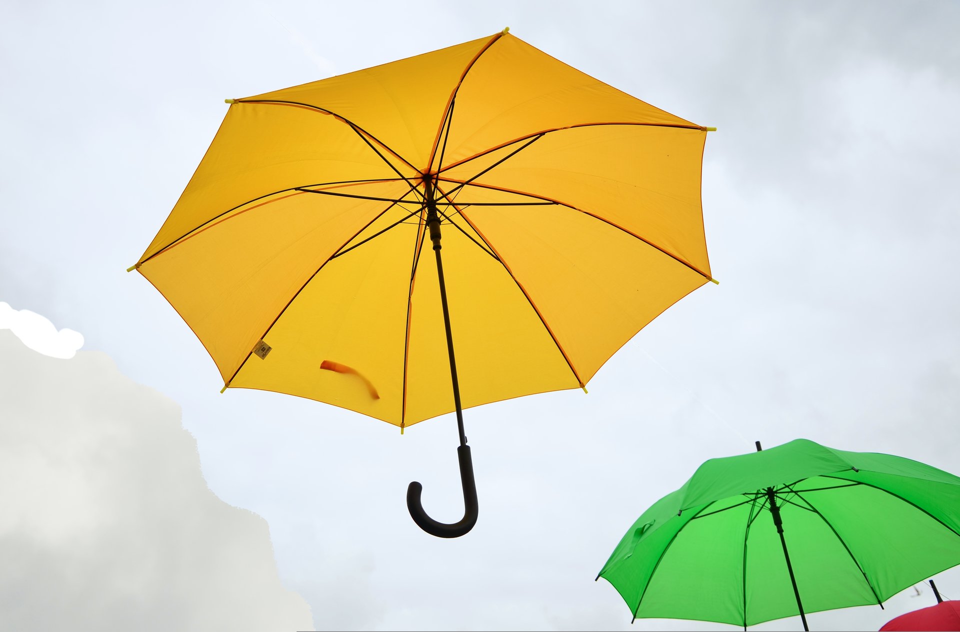 雨の日こそ行きたい！ 傘なしで立ち寄れるスポット4選