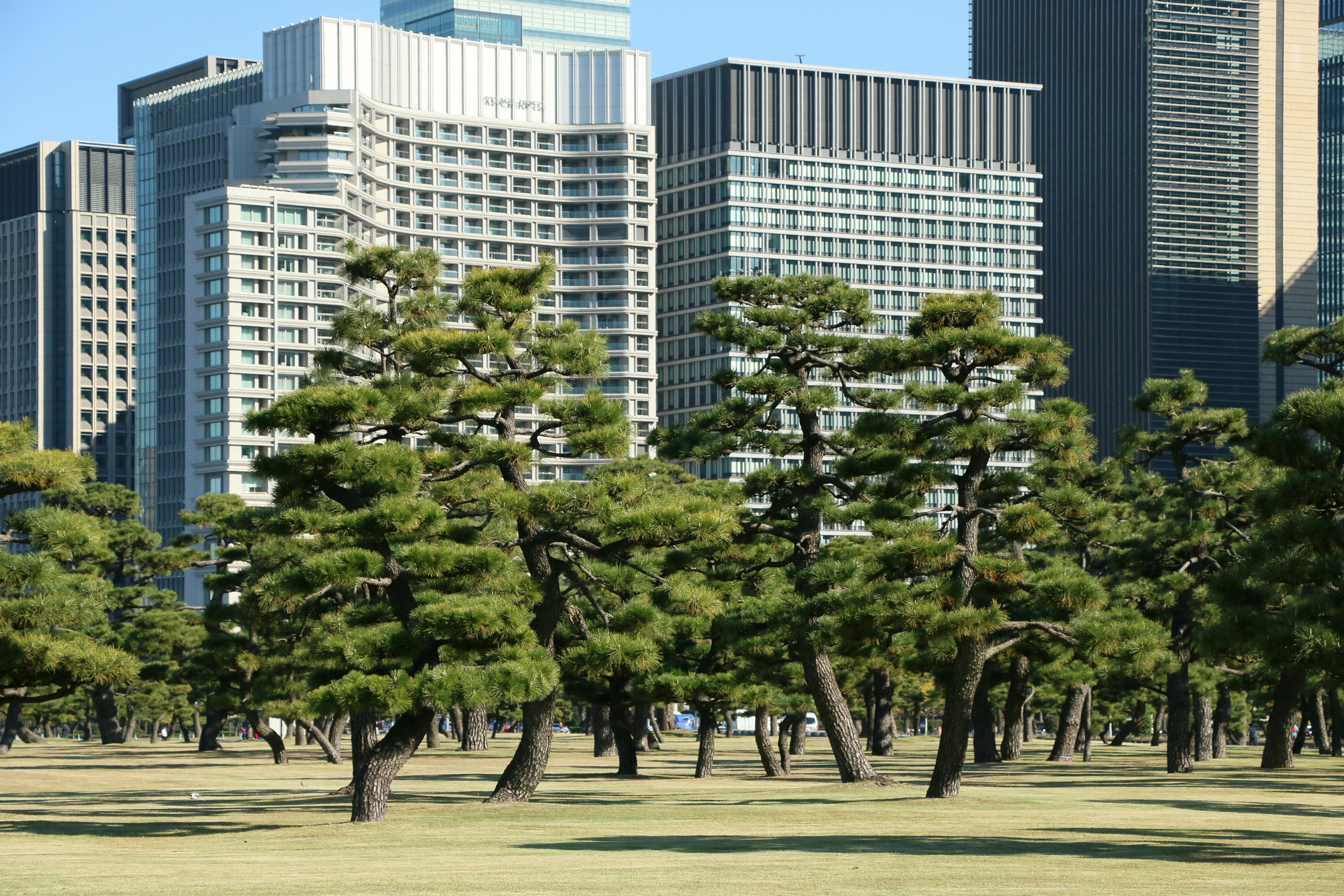 皇居散歩の実用情報