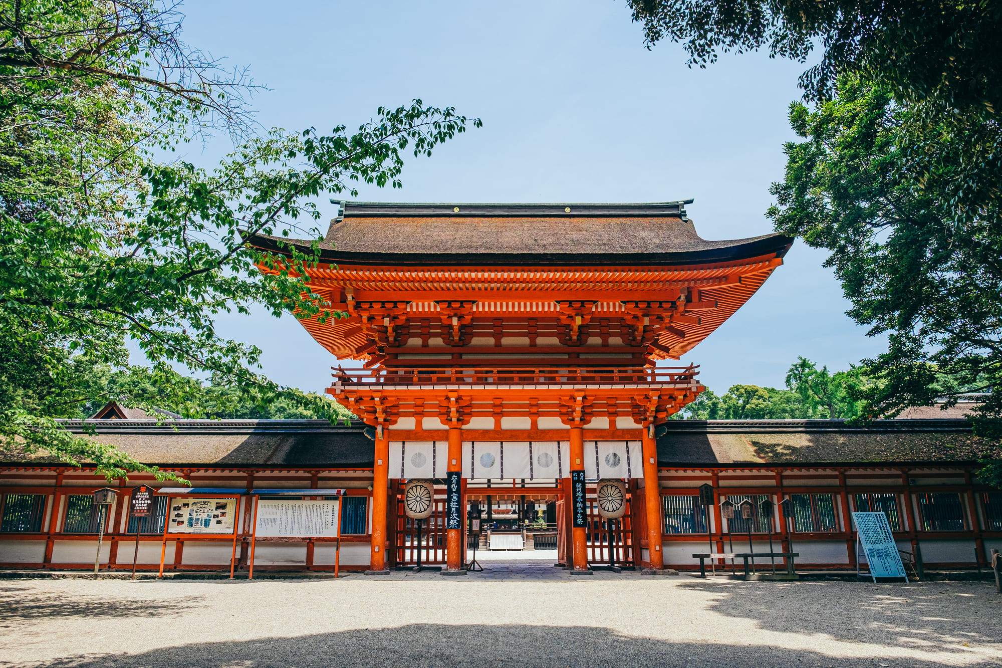 神社の鳥居と参道