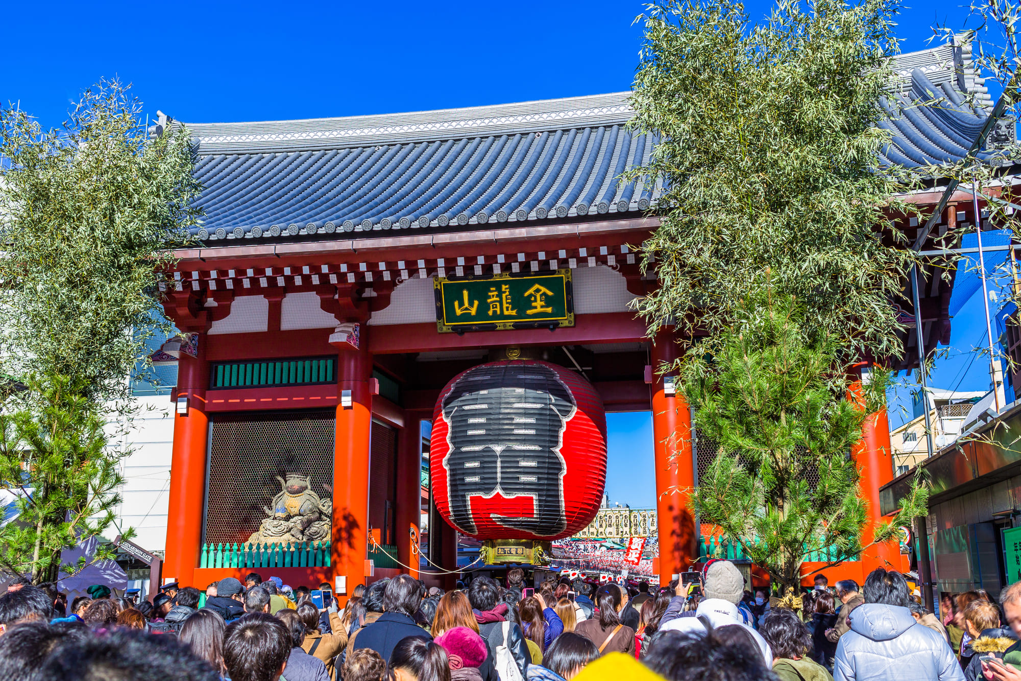 参拝客が列を作る神社の様子