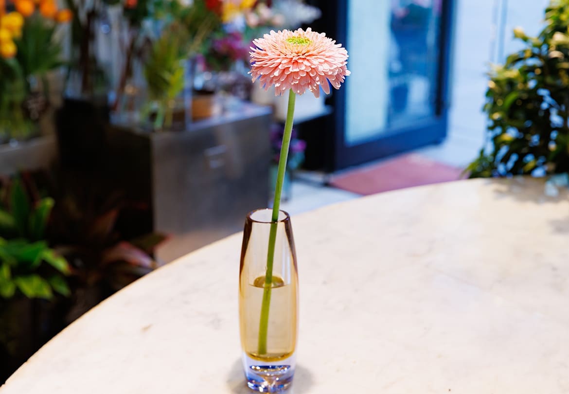 サッと1本生けるだけでサマになる。写真の花はガーベラ