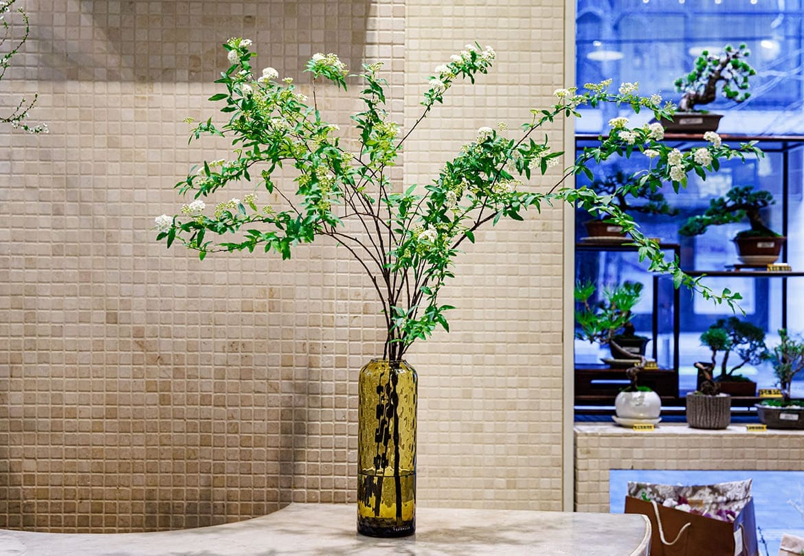 枝ものは花瓶に挿すだけでアートオブジェに
