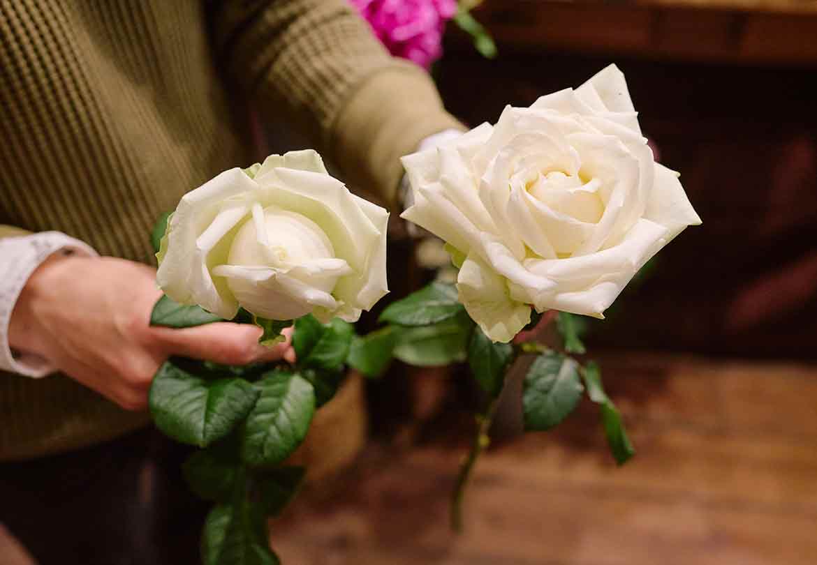満開に近い状態でも花びらにハリがあれば、長くたのしめる（右）。左はつぼみが固く、満開になる可能性が低く長持ちしやすいそう