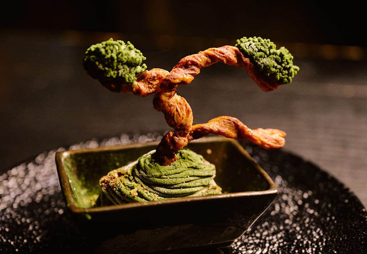 氷菓 盆栽