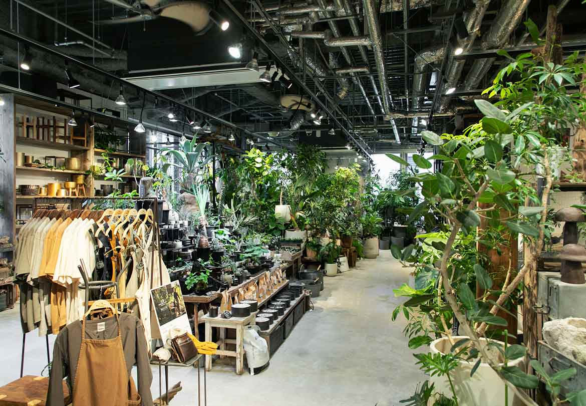 まるでジャングルのような店内にワクワク