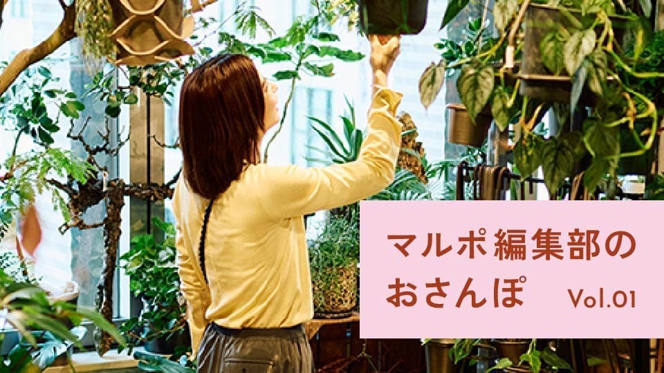 Vol.01 雨の日でも地下を通ってたのしめる。モヤモヤが晴れる癒やしさんぽ