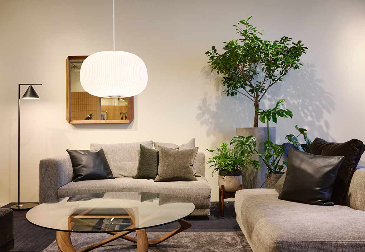 店内のディスプレイにも観葉植物がたくさん